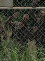 thewalkingdead0401-2485.jpg