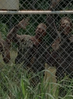 thewalkingdead0401-2486.jpg