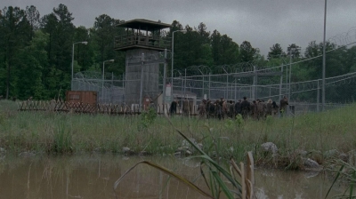 thewalkingdead0402-0447.jpg