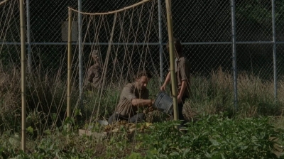 thewalkingdead0402-0572.jpg