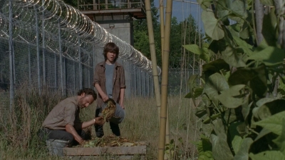 thewalkingdead0402-0592.jpg