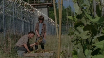 thewalkingdead0402-0594.jpg