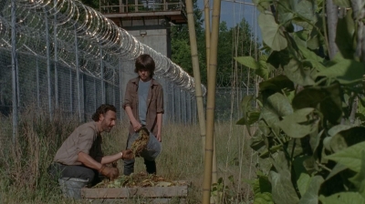 thewalkingdead0402-0595.jpg