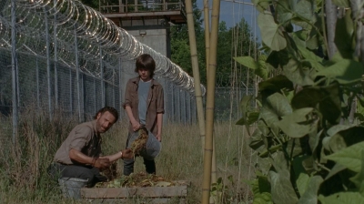 thewalkingdead0402-0596.jpg