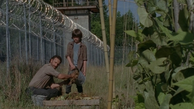 thewalkingdead0402-0597.jpg