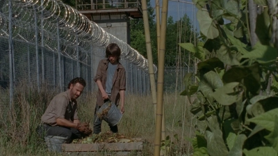 thewalkingdead0402-0600.jpg