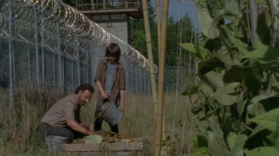 thewalkingdead0402-0601.jpg