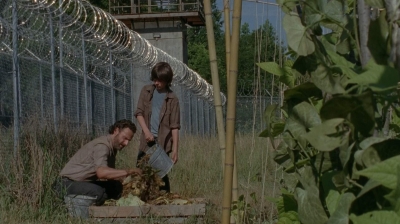 thewalkingdead0402-0602.jpg