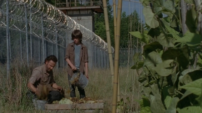 thewalkingdead0402-0604.jpg