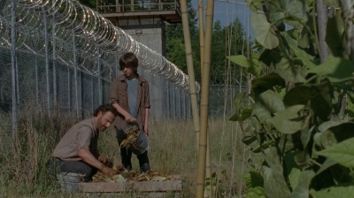 thewalkingdead0402-0605.jpg