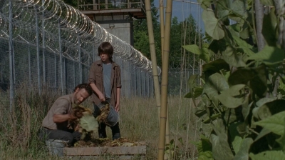 thewalkingdead0402-0606.jpg