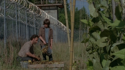 thewalkingdead0402-0608.jpg