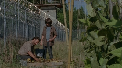 thewalkingdead0402-0613.jpg