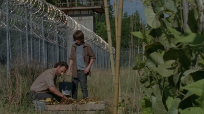 thewalkingdead0402-0614.jpg