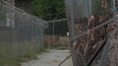 thewalkingdead0402-1862.jpg