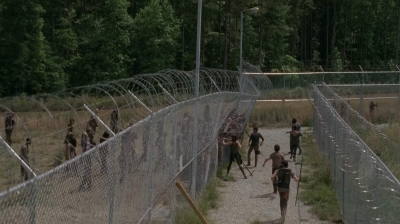 thewalkingdead0402-1883.jpg