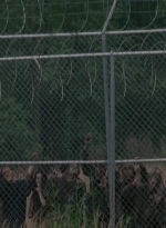 thewalkingdead0402-0589.jpg