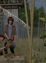 thewalkingdead0402-0592.jpg