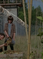 thewalkingdead0402-0593.jpg