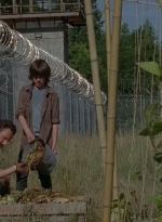 thewalkingdead0402-0594.jpg