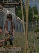 thewalkingdead0402-0595.jpg