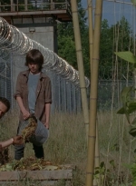 thewalkingdead0402-0596.jpg