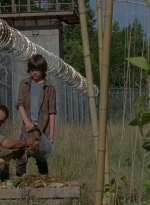 thewalkingdead0402-0597.jpg