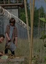 thewalkingdead0402-0601.jpg