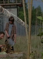 thewalkingdead0402-0602.jpg