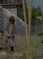 thewalkingdead0402-0603.jpg