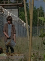 thewalkingdead0402-0604.jpg