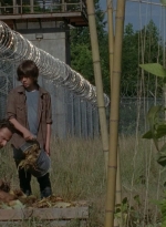 thewalkingdead0402-0605.jpg