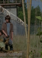 thewalkingdead0402-0606.jpg