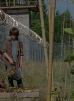 thewalkingdead0402-0608.jpg