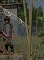 thewalkingdead0402-0609.jpg