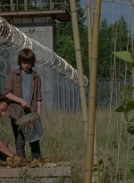 thewalkingdead0402-0610.jpg