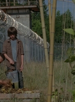 thewalkingdead0402-0611.jpg