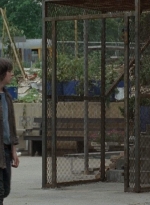 thewalkingdead0402-1452.jpg