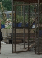 thewalkingdead0402-1453.jpg