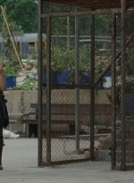 thewalkingdead0402-1455.jpg