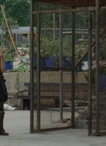 thewalkingdead0402-1456.jpg