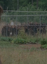 thewalkingdead0402-1855.jpg