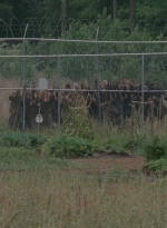 thewalkingdead0402-1857.jpg