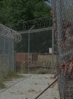 thewalkingdead0402-1861.jpg