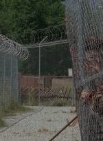 thewalkingdead0402-1862.jpg