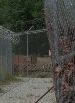 thewalkingdead0402-1863.jpg