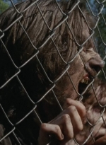 thewalkingdead0402-1869.jpg