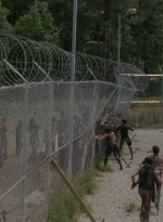 thewalkingdead0402-1882.jpg