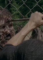 thewalkingdead0402-1896.jpg