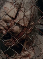 thewalkingdead0402-2068.jpg